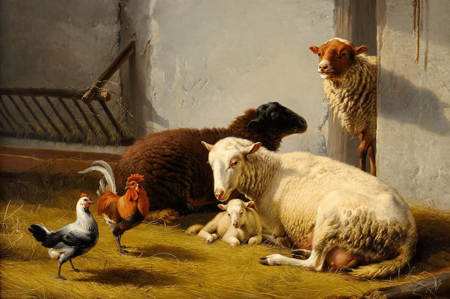 Moutons dans la bergerie 60 x 55 Cm — Daniel Trammer