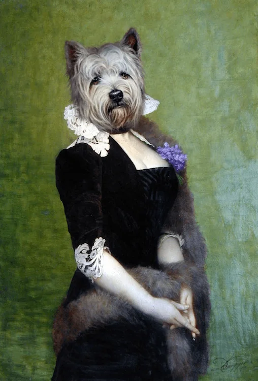 Portrait de chien en baronne 90x65 cm — Daniel Trammer